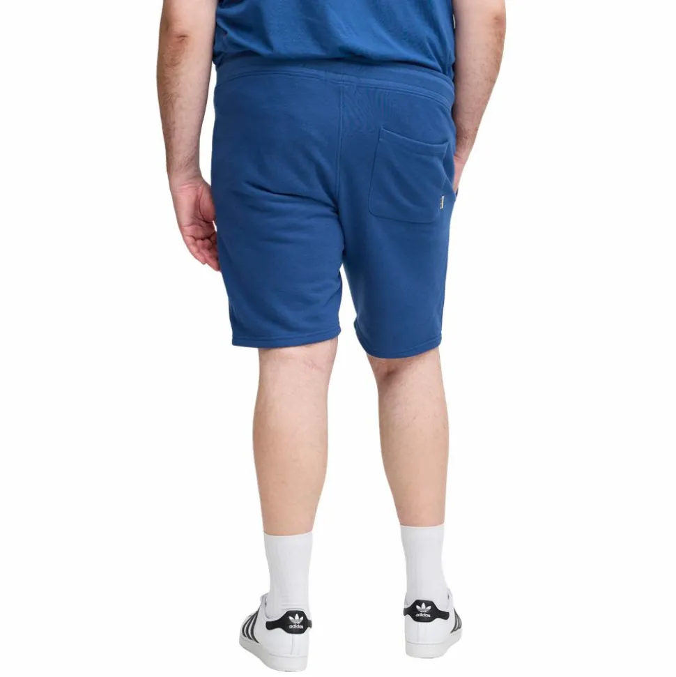 Blend Herre Shorts Plus Size - Navy Peony
