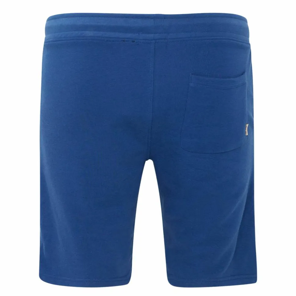 Blend Herre Shorts Plus Size - Navy Peony