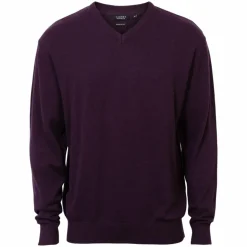 Carnét Stone Herre Striktrøje - Plum Mix