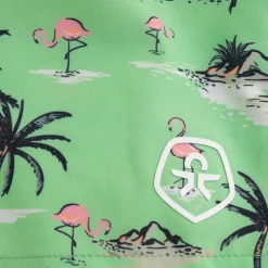 Color Kids Drenge Badebukser - Green Ash