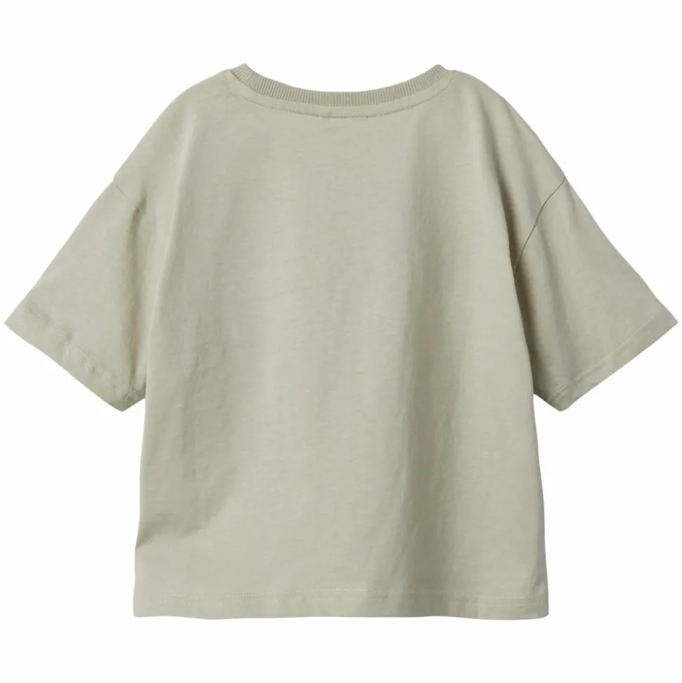 Guppy Fulke Drenge T-shirt - Pussywillow Gray