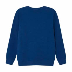 Guppy Louie Drenge Sweatshirt - Navy Peony