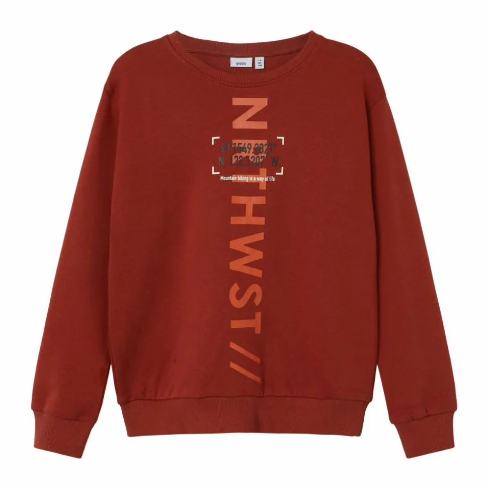 Guppy Rocco Drenge Sweatshirt - Arabian Spice