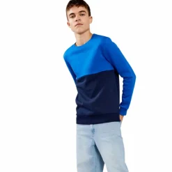 LMTD Drenge Sweatshirt - Bellwether Blue